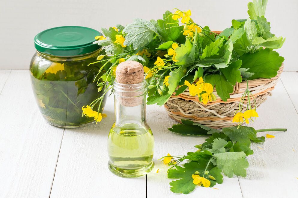 Infusion, oil and freshly harvested celandine against toenail fungus