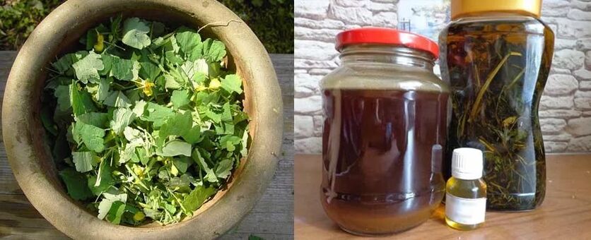 Preparation of healing juice of celandine for further use in the fight against toenail fungus